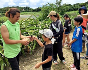 新鮮オーガニック野菜をお届け♪ 沖縄の新聞販売店が「ベジんちゅ」宅配に込めた願い
