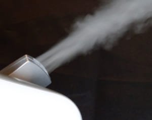 加湿、睡眠…花粉症への免疫を下げないための生活習慣