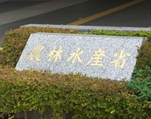 政府構想も頓挫の「お肉券」が“和牛給食”に姿を変えていた！