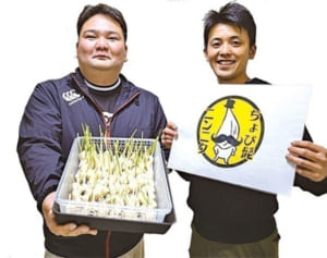 いろんなレシピに使えて便利　根まで美味しい”ちょび髭ニンニク” 【島ネタCHOSA班】