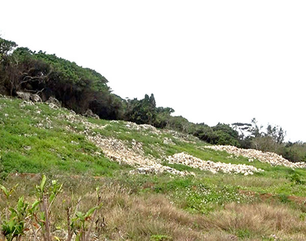 戦没者遺骨含む土砂の使用　与党が断念意見書の提案を延期　沖縄県議会、具志堅氏ら招致へ