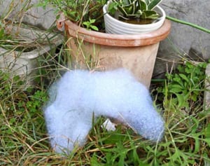 那覇基地から流出の泡消火剤「PFOS含むとみられる」　空自が当初の説明を覆す