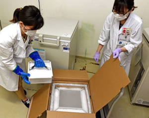 医療者のワクチン接種、沖縄県内はきょうから始まる