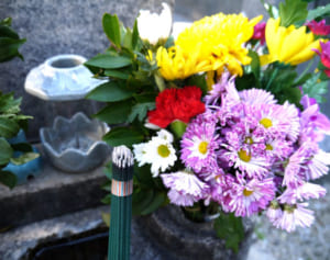 墓選びは個人の自由！夫と同じ墓に入りたくないときの対処法