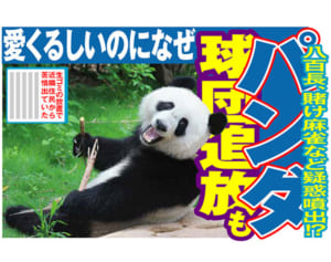 チョコプラに続け！動物たちの「悪い顔選手権」やってみた