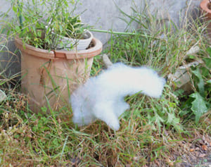 説明一転…空自、流出泡消火剤にPFOS含有認める　国指針の128倍　幕僚長謝罪「多くの方に不安」