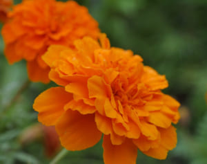 ジャニーズWEST 7周年！桐山照史の7にまつわる裏話