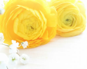 ジャニーズWEST 7周年！中間淳太の7にまつわる裏話