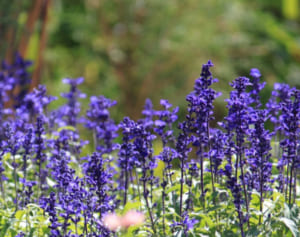 ジャニーズWEST 7周年！濱田崇裕の7にまつわる裏話