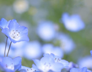 ジャニーズWEST 7周年！藤井流星の7にまつわる裏話