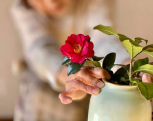 一生賃貸派が急増！高齢者でも入居できる賃貸住宅の見つけ方