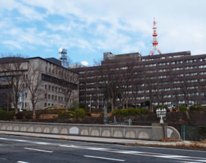 弁護士語る同性カップル住所無断公開の違法性「名誉棄損や脅迫にも」