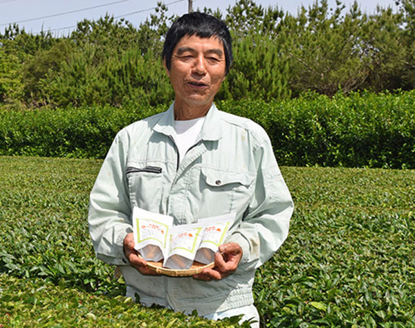 沖縄・大宜味発のウーロン茶　夫婦が無農薬で「自慢の味」　今年初出荷