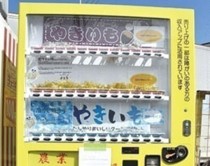 南城市に現れる「冷たい焼き芋」の自動販売機の謎！ 【島ネタCHOSA班】