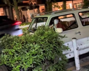 成田凌　緊急事態宣言下の深夜飲み姿を目撃！本人も認め謝罪