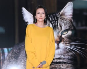 柴咲コウ　経営会社が芸能プロも開始！所属第一号は「前澤友作と交際報道」タレント