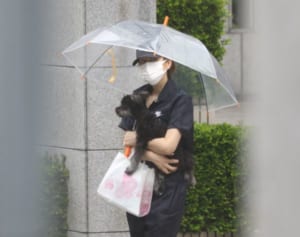 米倉涼子 ワンコ抱えて…撮影前に頼ったもう1人のドクターX