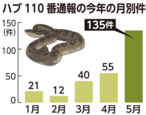 ハブの110番、5月は2倍に　活発なシーズンにご注意