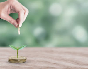 iDeCo初心者におすすめ！FP推薦の“増える”商品＆組み合わせ