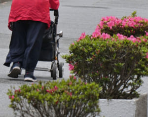 税金、保険料は別…ねんきん定期便の年金額で人生設計は危険