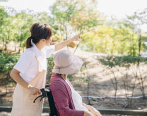 多くの女性が直面！遺族年金生活を支える公的な支援制度