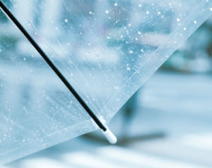 きゅうりは2倍近くの価格に！“早梅雨”で野菜価格が高騰