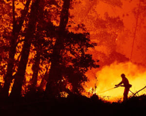花火のせいで山火事が発生…夫婦が過失致死罪に問われる