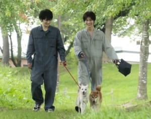 「一匹も殺したくない」東京の獣医師と、亡くなった台湾の獣医師をつなぐ思い