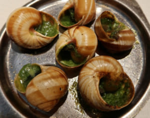 エスカルゴバターにハリッサ…じつは家で作れる激うま調味料