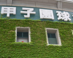 雨天コールド負け球児に同情続出も強行の高野連に批判殺到…中止論争も勃発