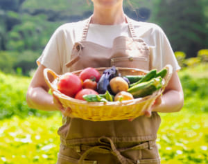 「田舎暮らしの夢破れ1千万円が消えた」老後破綻の落とし穴