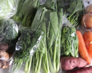 5年で1000万円貯めた主婦が「食材まとめ買い」のコツを伝授