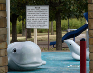 公園の水遊び場で殺人アメーバに感染した子どもが死亡