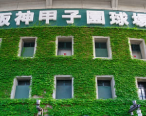 “密フェス”大炎上の陰で巨人阪神戦には5万人来場…不公平さ指摘する声も