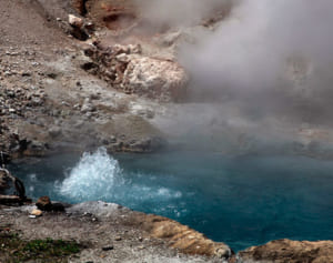 愛犬を救うため熱湯の泉に飛び込んだ女性が意識不明の重体