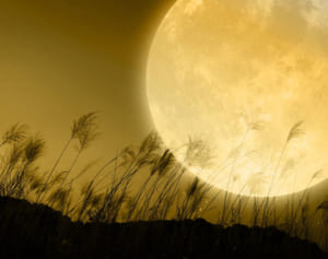 King＆Prince5人に聞く！「アイラブユー」を自分流に訳すと？