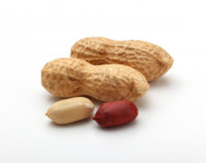 「ピーナッツ習慣で脳梗塞リスク2割減」国立がん研究センターが報告