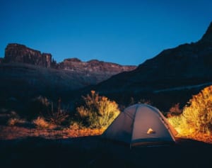 キャンプ場から消えた4歳少女が2週間後に無事救出…36歳の男を逮捕