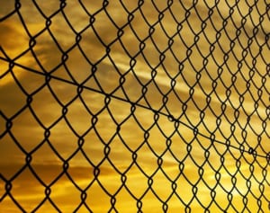 ケンカの仲裁に入った女性が死亡…飼い犬に襲われた可能性が浮上