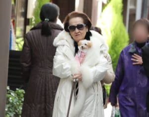 細木数子さん　不動産だけで15億円超…巨額資産を養女に遺した“周到な終活術”