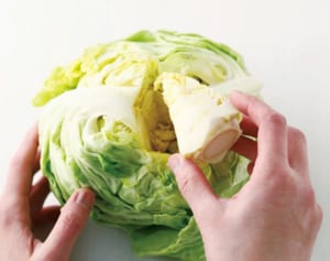 “買ったまま冷蔵庫”はNG！白菜900円時代のキャベツ、レタス、白菜の賢い保存術