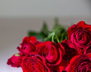 バチェラー4「脱落者復活の変化球エンド」予想がSNSで話題