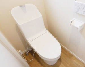 医師に聞いた続けるべき感染対策「トイレの“フタ”は今後も習慣に」