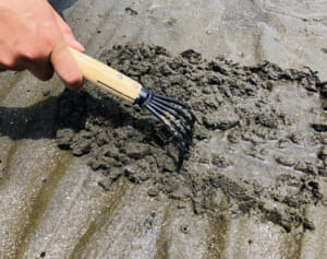 アサリだけじゃない…「国内産」のイメージが独り歩きする食材