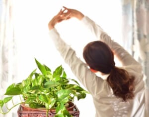 カルシウムとタンパク質がポイント　サバ缶や鮭の朝スープ