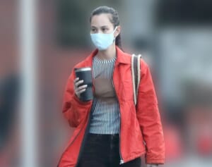 水原希子　イケメンデザイナーと同棲！「彼氏です」と交際宣言【2022年ベストスクープ】