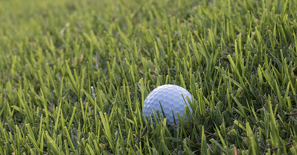 4年で700個のゴルフボールを打ち込まれた夫婦が賠償金6億3千万円勝ち取る
