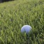 4年で700個のゴルフボールを打ち込まれた夫婦が賠償金6億3千万円勝ち取る