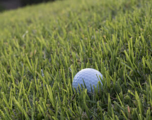 4年で700個のゴルフボールを打ち込まれた夫婦が賠償金6億3千万円勝ち取る