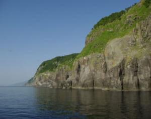 「知床遊覧船」社長は「右も左もわからない」…経営コンサルの記事が波紋